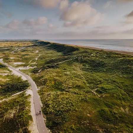 Blissea * Zandvoort
