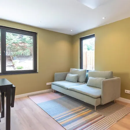 Blissea * זנדוורט